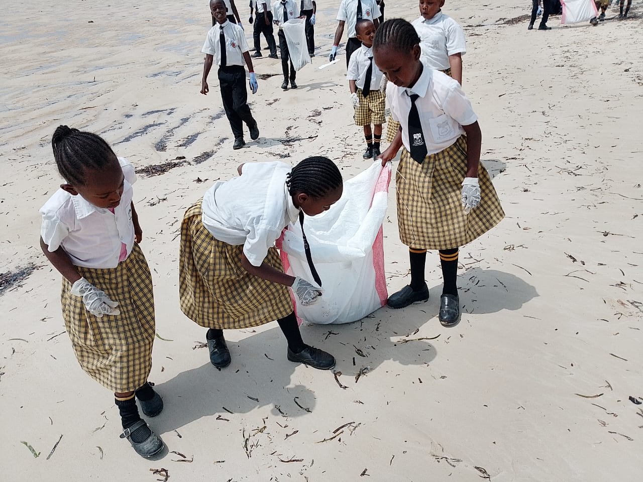 Participating in The International Coastal Cleanup September 2025